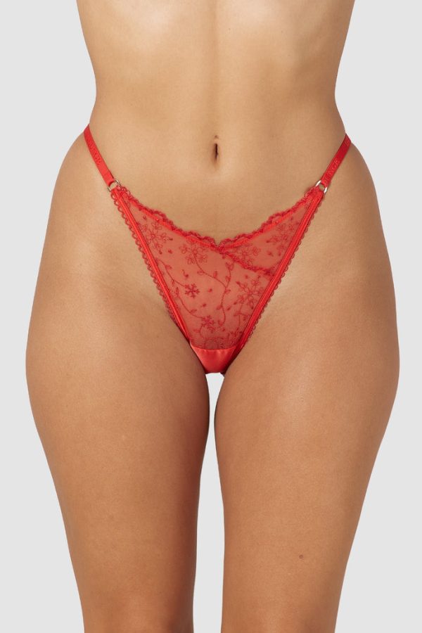 1-Red-ChristmasBriefs-Samaria_690x-6 1-Red-ChristmasBriefs-Samaria_690x-6