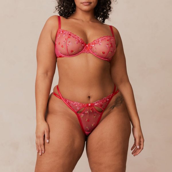 1BlushEmbroideredBalconyBra_BriefsSetLeslie_a3de850a-b644-43f8-90b8-ba45175cfe02_690x-1 1BlushEmbroideredBalconyBra_BriefsSetLeslie_a3de850a-b644-43f8-90b8-ba45175cfe02_690x-1