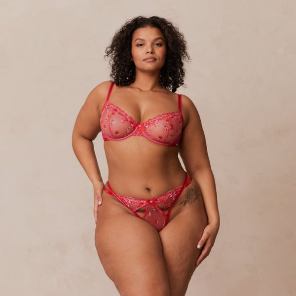 1BlushEmbroideredBalconyBra_ThongSetLeslie_690x-44 1BlushEmbroideredBalconyBra_ThongSetLeslie_690x-44