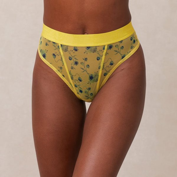 1YellowFloralMeshThong-Amina_ea59dd60-2c53-4554-a651-4f422a754ce8_690x-6 1YellowFloralMeshThong-Amina_ea59dd60-2c53-4554-a651-4f422a754ce8_690x-6