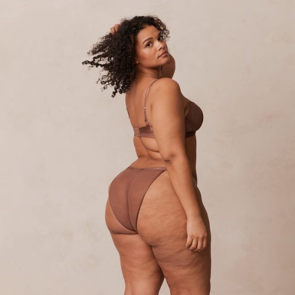 2ChestnutSmoothMeshT-ShirtBra_BriefsSetLeslie_690x 2ChestnutSmoothMeshT-ShirtBra_BriefsSetLeslie_690x