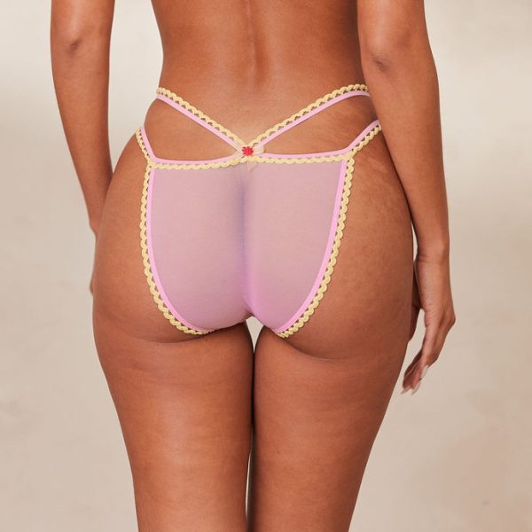 2PinkDaisyEmbroideredBalconyBriefsMuriel_0acf3627-397f-4cc0-9e97-648bc827f907_690x-29 2PinkDaisyEmbroideredBalconyBriefsMuriel_0acf3627-397f-4cc0-9e97-648bc827f907_690x-29