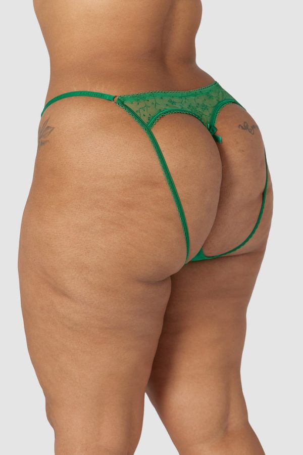 3-Green-ChristmasBriefs-Leslie_690x 3-Green-ChristmasBriefs-Leslie_690x