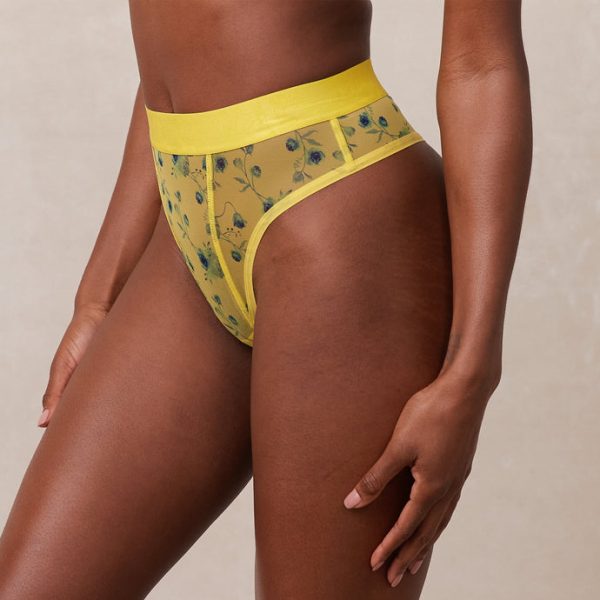 4YellowFloralMeshThong-Amina_b5ebc697-2913-4550-9664-0bf9c69182a8_690x-1 4YellowFloralMeshThong-Amina_b5ebc697-2913-4550-9664-0bf9c69182a8_690x-1